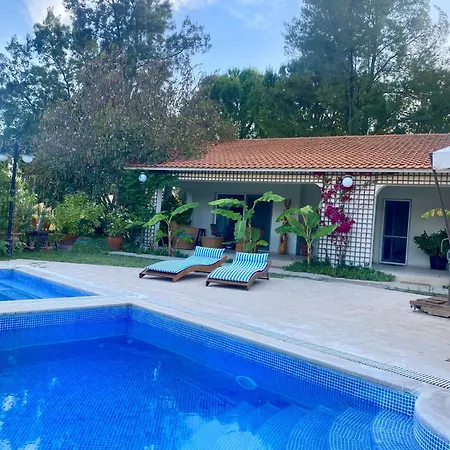 Πανσιόν Sunyear Glamping