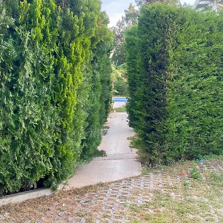 Sunyear Glamping * Βουρλά