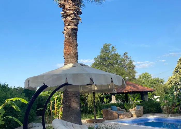 Sunyear Glamping בית הארחה