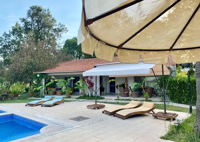 Sunyear Glamping אורלה