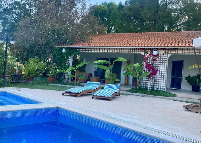 בית הארחה Sunyear Glamping