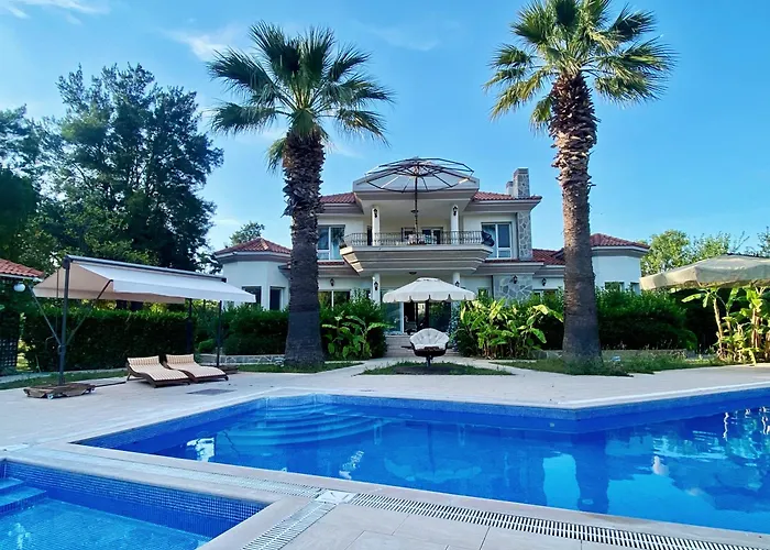 Sunyear Glamping בית הארחה *