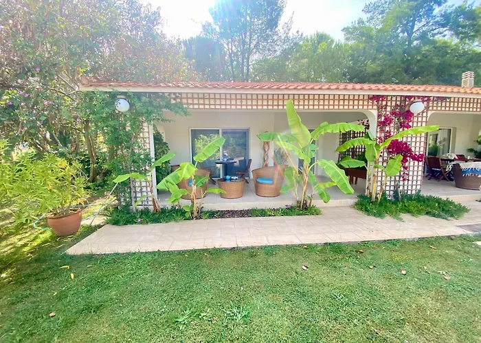 בית הארחה Sunyear Glamping אורלה