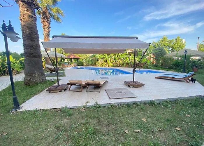 Sunyear Glamping בית הארחה