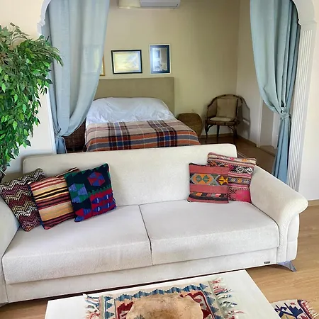 Sunyear Glamping *
