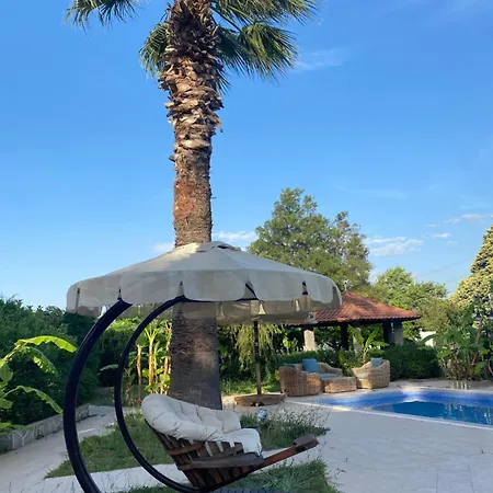 Sunyear Glamping Pensión