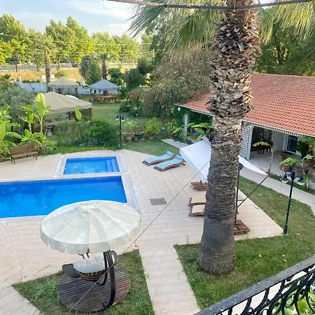 Sunyear Glamping Pensión