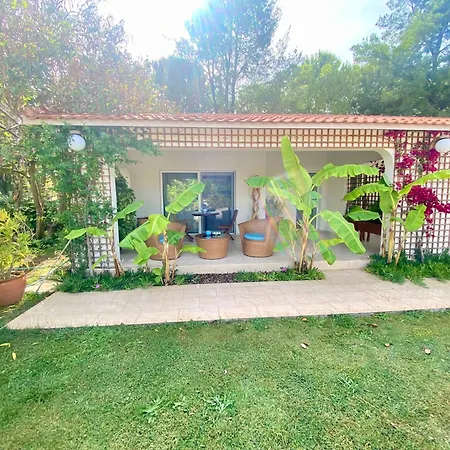 Pensión Sunyear Glamping Urla