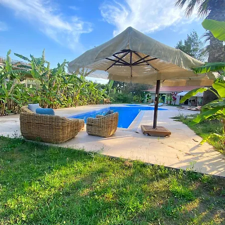 Pensión Sunyear Glamping *