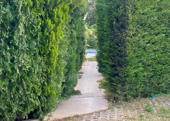 Sunyear Glamping * Urla